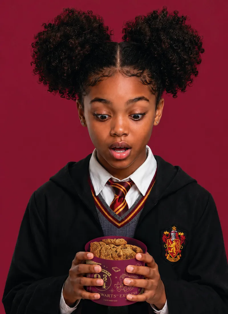 Coleção licenciada Harry Potter da Tupperware, com o brasão da Grifinória — perfeita para a lancheira da criançada.